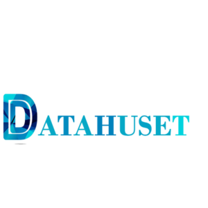 Datahuset-logo-datahus.se